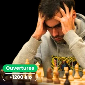 1. e4 : répertoire d'Attaque (part.1) - 12 séances - MI Thibault Dudognon
